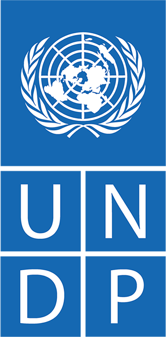 UNDP Maldives logo
